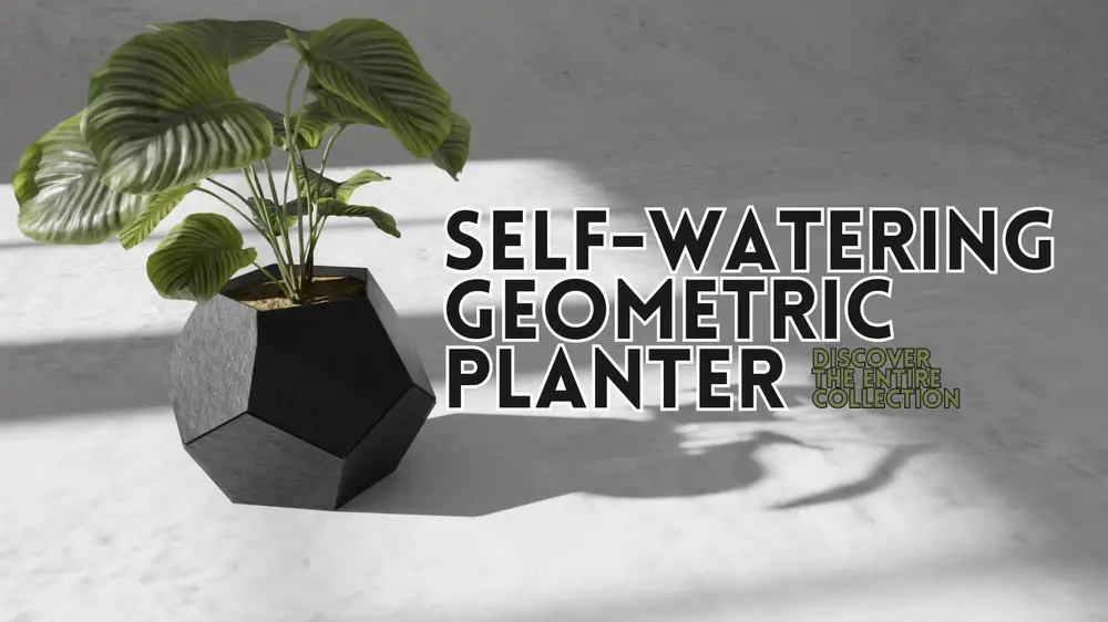 Self Watering Geometric Planter