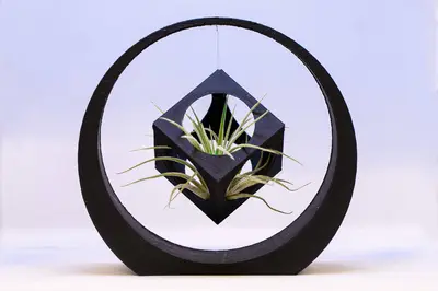Floating cube in the ring