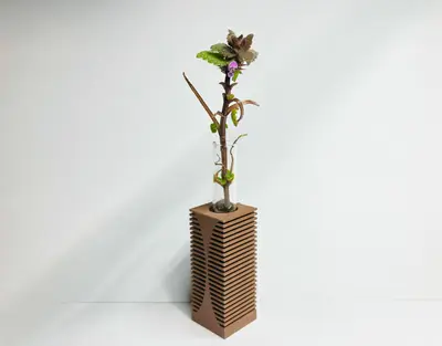 Flexible layered single-flower vase