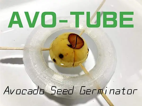 AVO-TUBE
