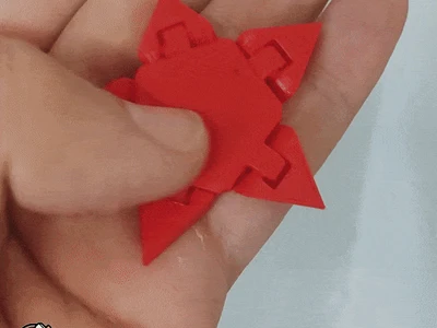 Flexi Star