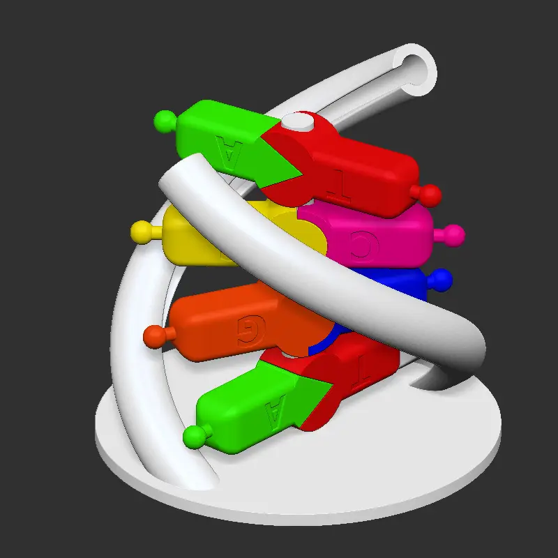 DNA helix - multicolour