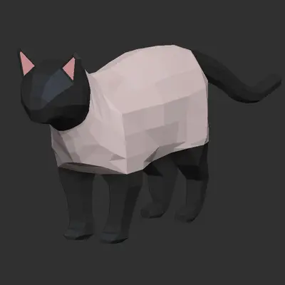 Lowpoly cat - multicolour
