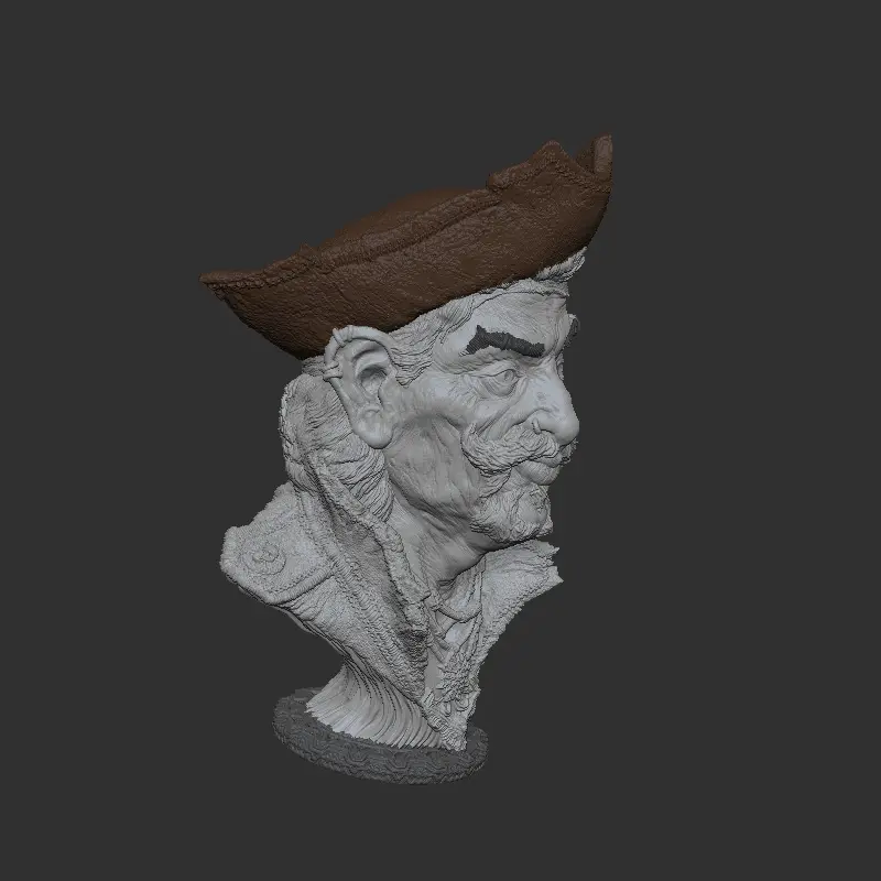 Pirate Captain - Multicolour