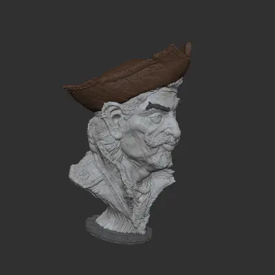 Pirate Captain - Multicolour