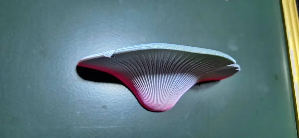 Mushroom appearance refrigerator magnet