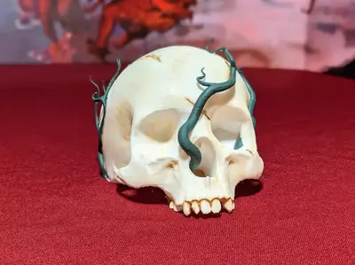 Skull With Vines
