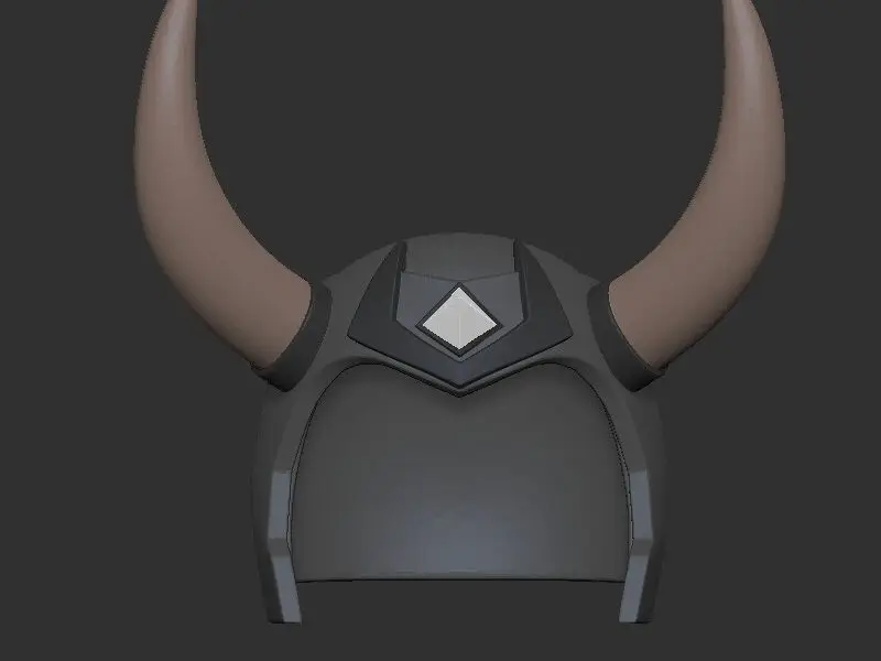 Helmet
