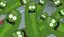 3DPickles