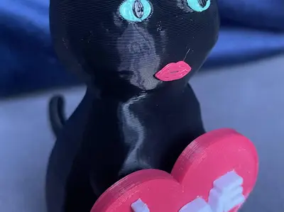I Love You Cat