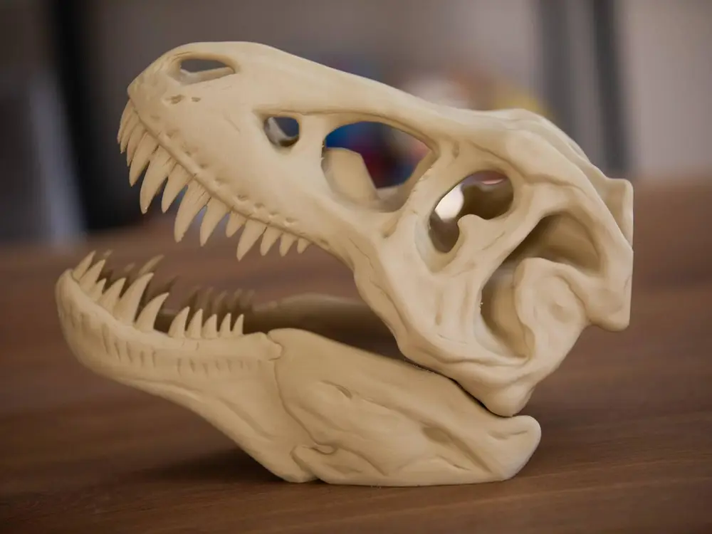 T-Rex Skull