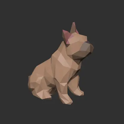 Polygon Pup - Multicolour