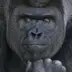 涵（han）