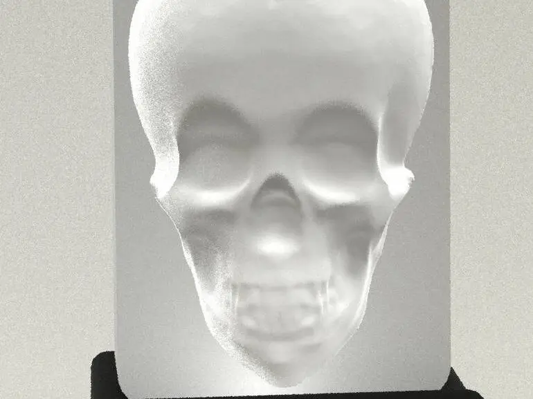 Optical illusion - Murray the tracking Skull