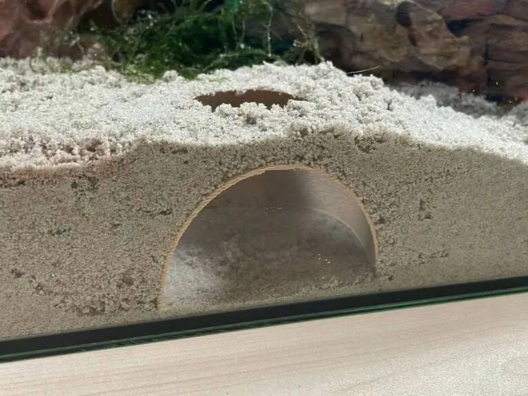 Fish tank underground hiding cave
