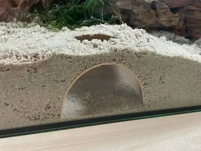 Fish tank underground hiding cave