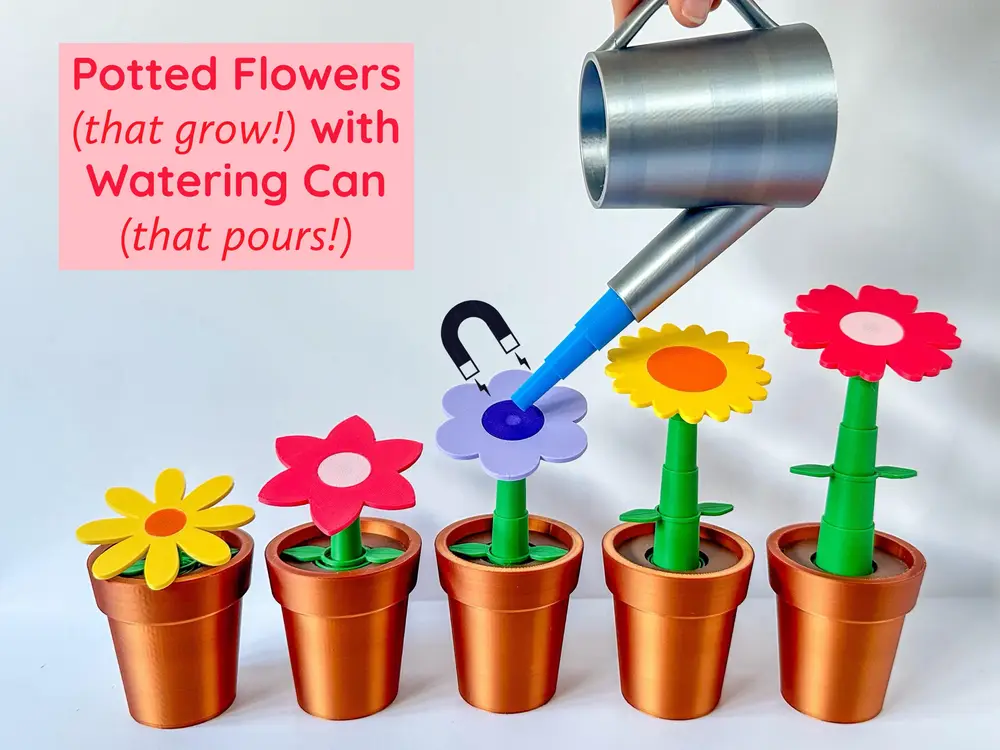 Potted Flowers with Watering Can