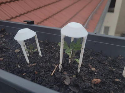 Seedling Shield - Raincover for small plants and seedlings ...