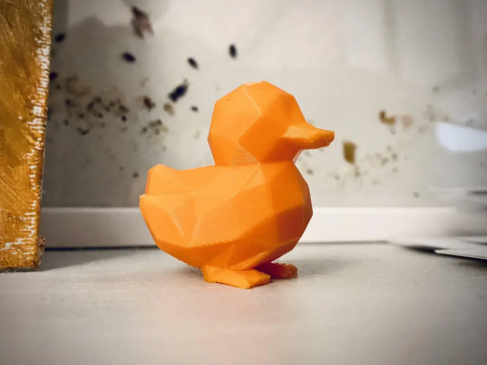 Cute Duck
