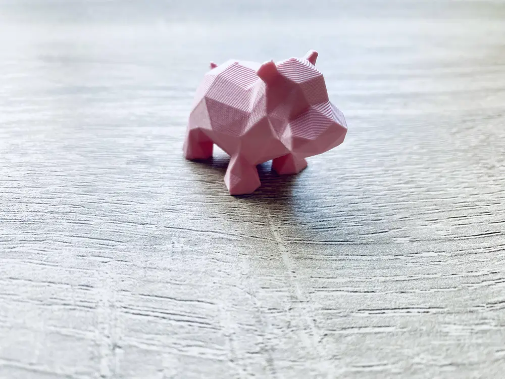 Cute Hippo