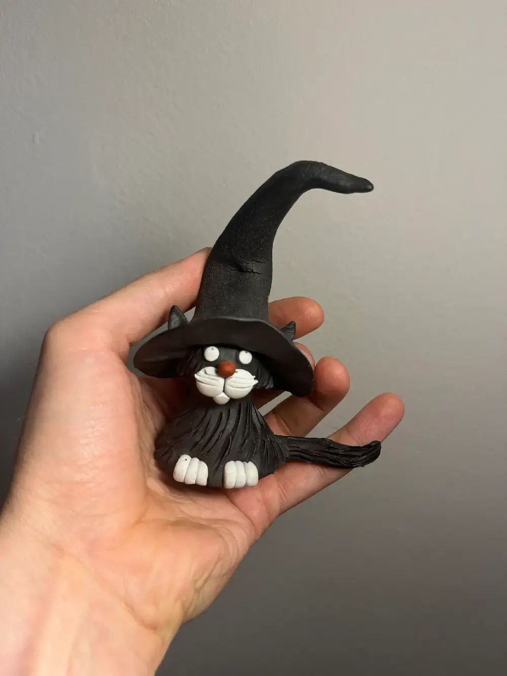 Cute Witch Cat