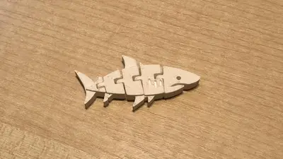 Flexi Shark