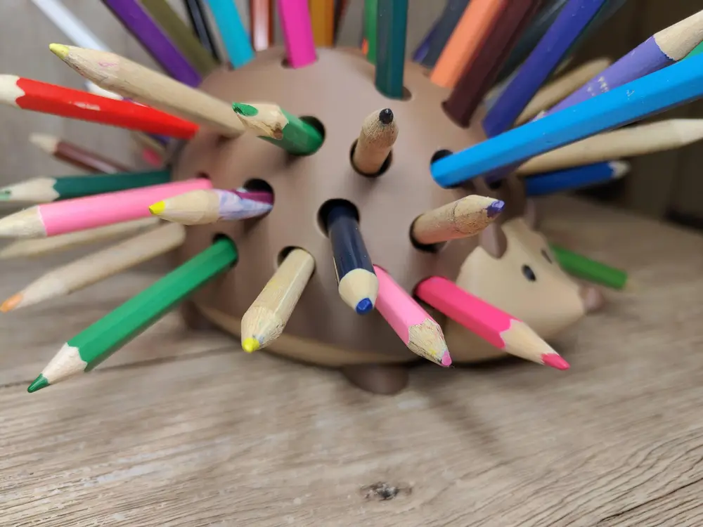 Pencil Hedgehog