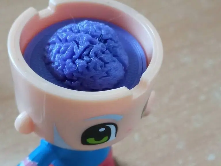 Cerebro Pinypon
