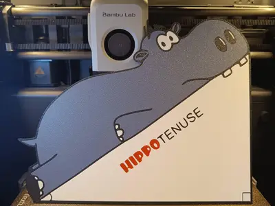The "HIPPO"TENUSE