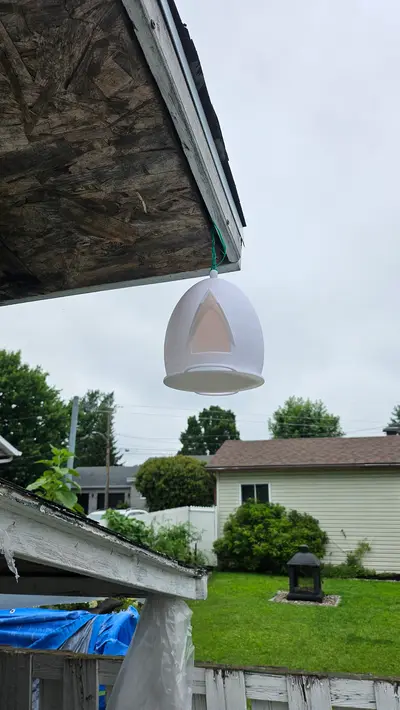 Dual sided Amazing City Bird House
