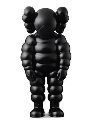 Kaws What Party
