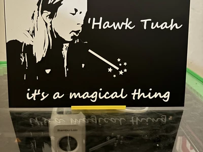 Hawk Tuah Magic Spell