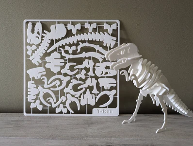 T-Rex Skeleton Kit Card