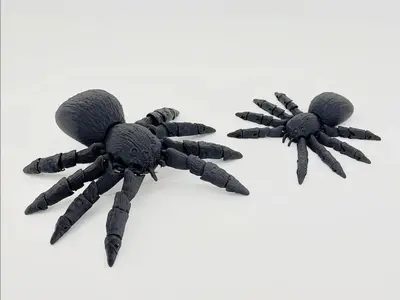 Flexi Spider