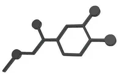 Adrenaline molecule magnet