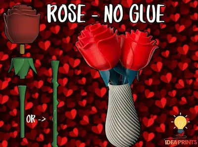 ROSE - no glue- to color the city