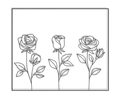 Picture of roses