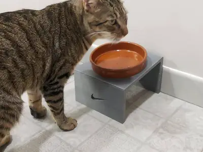 Elevated cat bowl stand