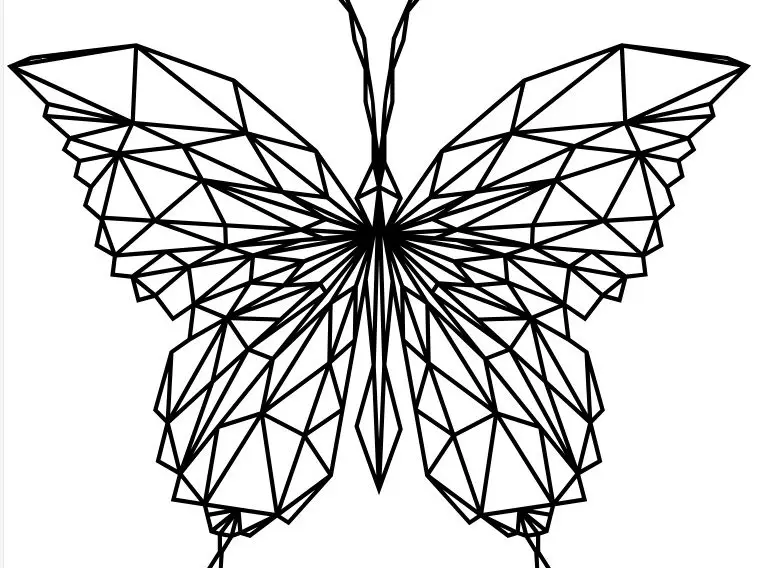 butterfly wall art
