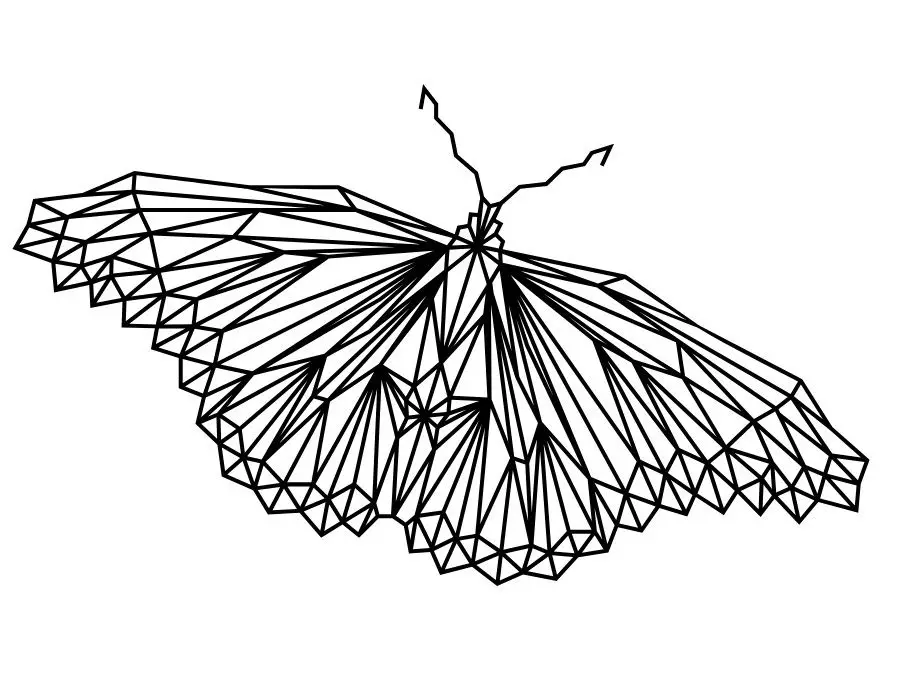 butterfly wall art