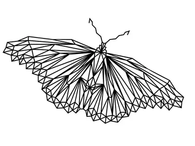 butterfly wall art