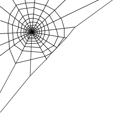 spiderweb wall art