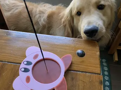 Kirby Incense Holder