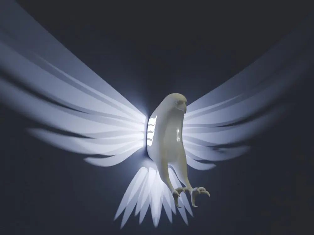 Beautiful Hawk with Light Wings