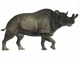 brontotherium
