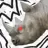 PsychicRhino