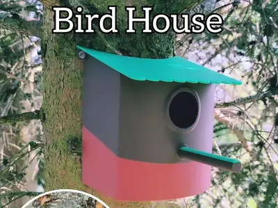 Bird House for Trees  - More Colorful Birds in the City