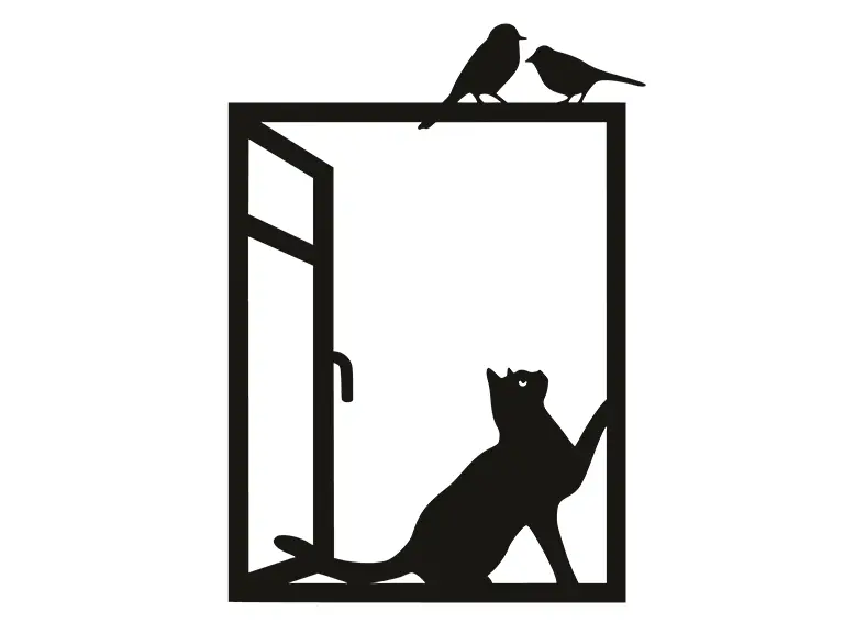 cat