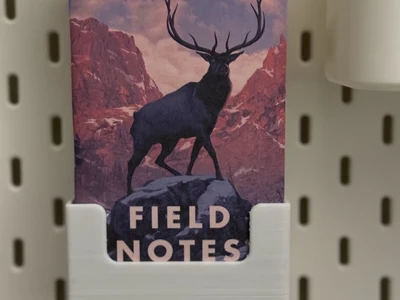 Skadis bin for Field Notes