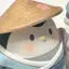 YoshiGoshi